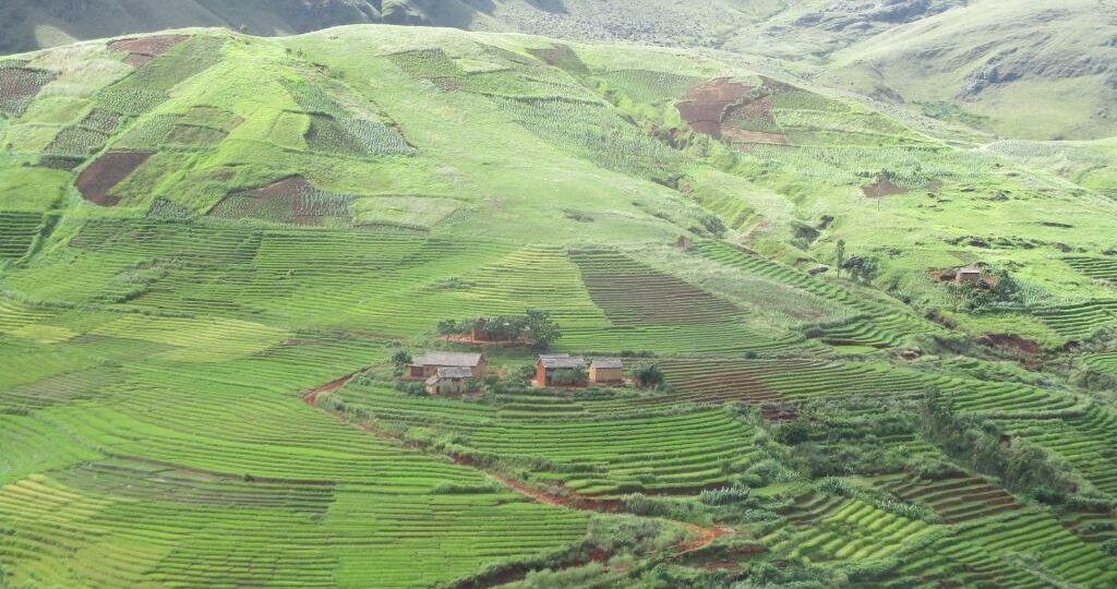 cluture en escalier de la region vakinankaratra près de Tritriva
