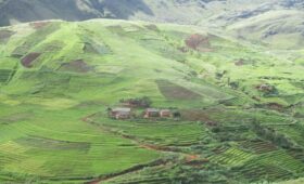 cluture en escalier de la region vakinankaratra près de Tritriva